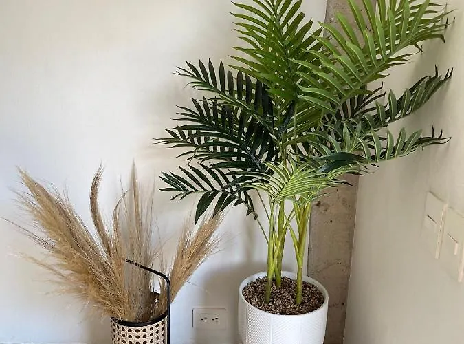 Katalox Jungle Lofts By Simply Comfort Centre Rooftop Patio & Pool Apartamento
